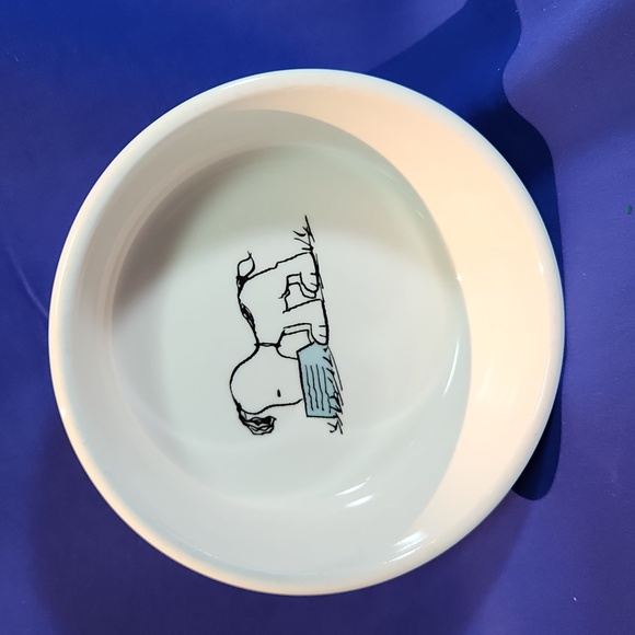 Peanuts | Dog | Peanuts Snoopy Dog Bowl Dish | Poshmark